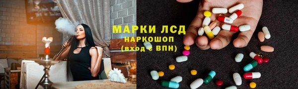 a pvp Алзамай